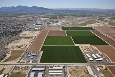 Auto Insurance In Goodyear, AZ